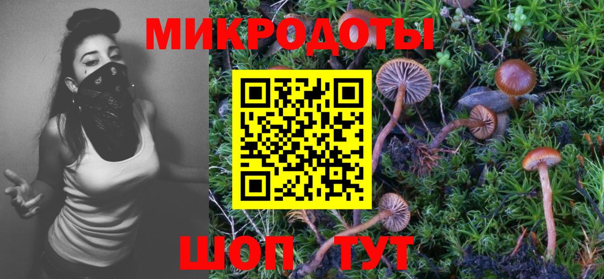 Галлюциногенные грибы MAGIC MUSHROOMS  Вход с VPN  Альметьевск 