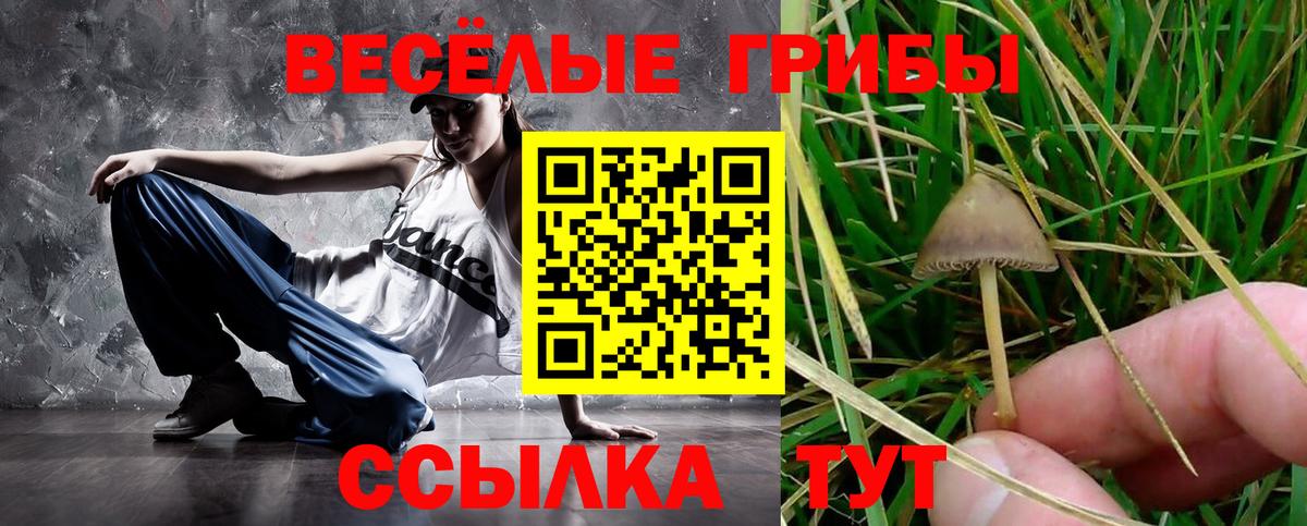 Галлюциногенные грибы прущие грибы Альметьевск